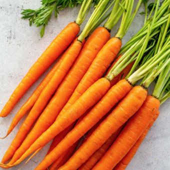 CARROTS 12 KG02
